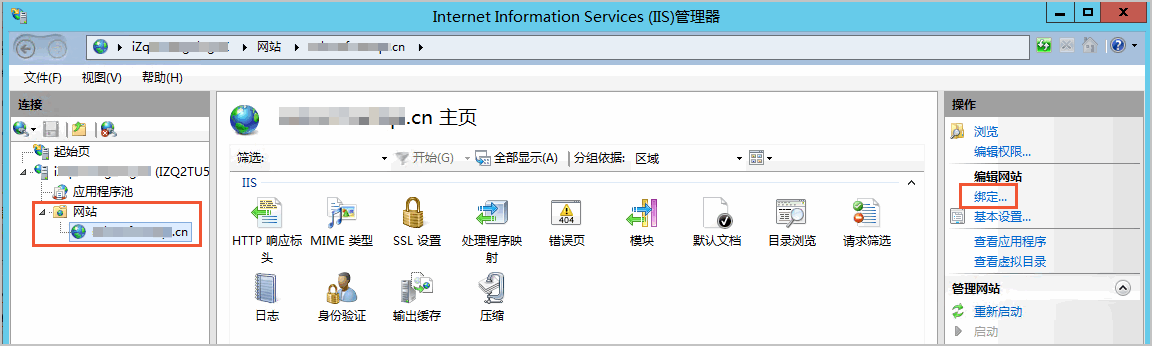 IIS选择网站